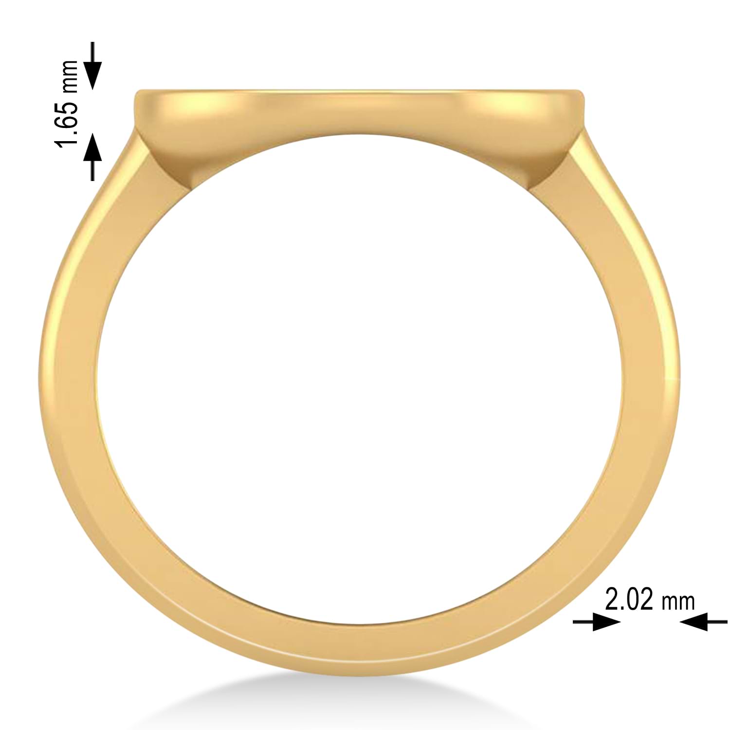 Aquarius Disk Zodiac Ring 14k Yellow Gold