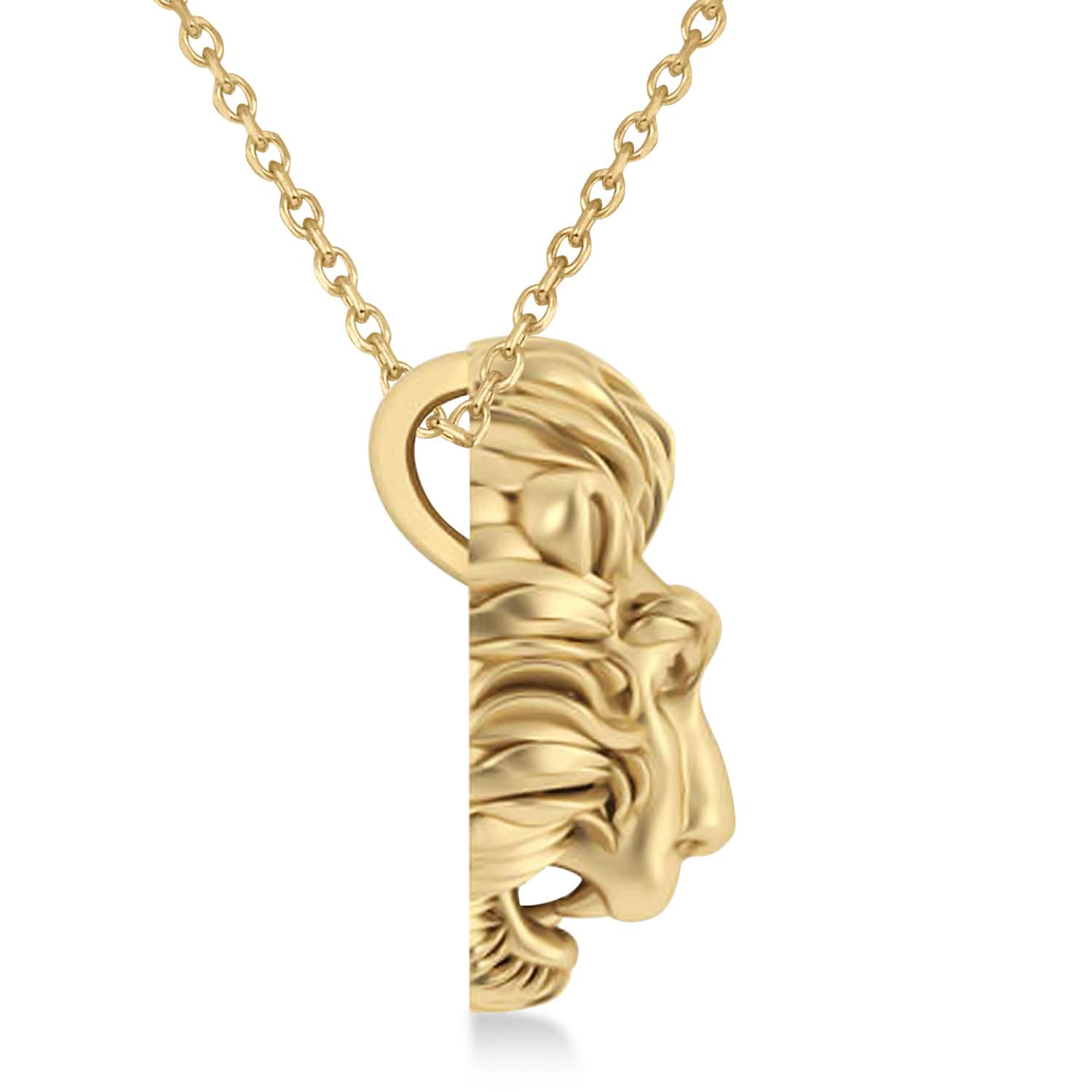 Lion's Head Pendant Necklace 14k Yellow Gold
