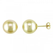 Golden Colored South Sea Pearl Stud Earrings 14k Yellow Gold 10-11mm