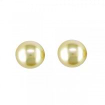 Golden Colored South Sea Pearl Stud Earrings 14k Yellow Gold 10-11mm