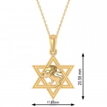 Star of David with Lion Pendant Necklace 14k Yellow Gold