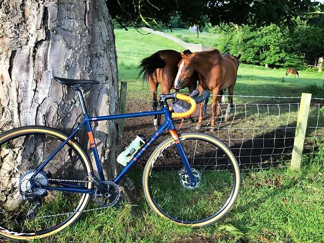 Ribble cgr discount 725 steel