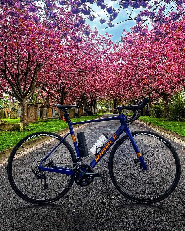 Ribble sales custom colour