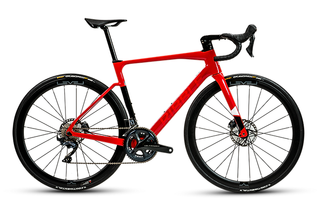 Ribble endurance new arrivals