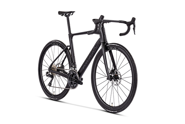 Ribble endurance sales sl r disc