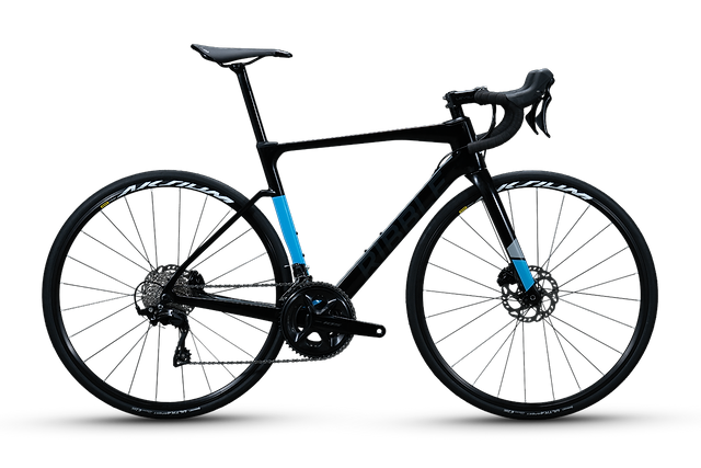 Ribble endurance hotsell sl