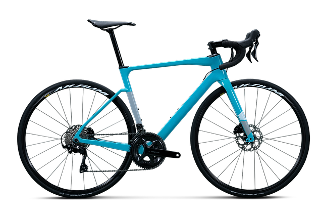 Ribble endurance sl disc ultegra outlet