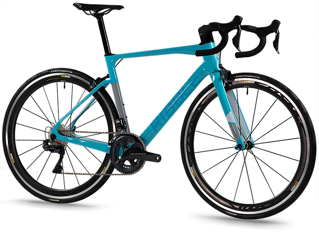 Ribble endurance shop