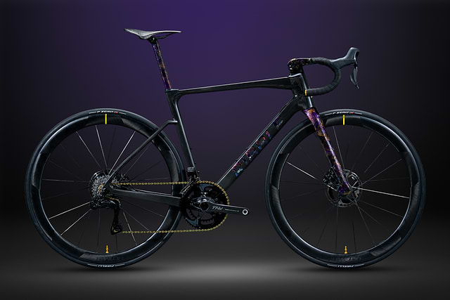 Ribble endurance sl r hotsell