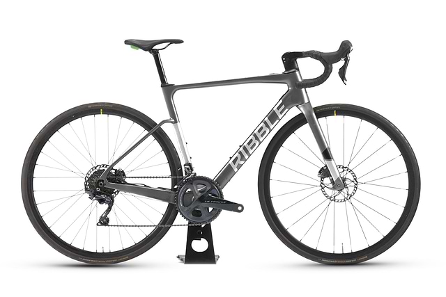 Ribble endurance sl sales