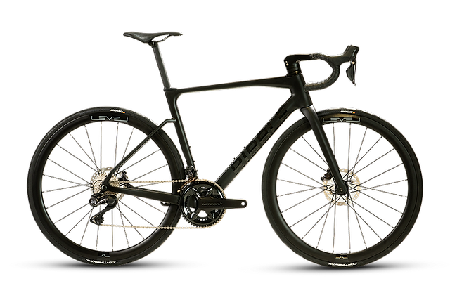 Ribble endurance sl disc review deals