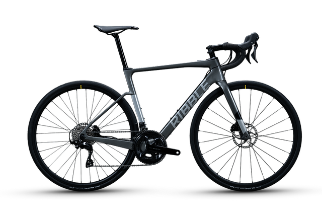 Ribble endurance sl best sale electric
