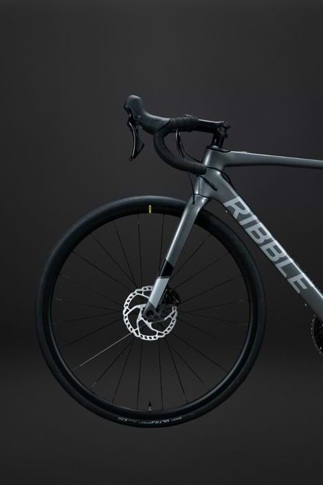 Ribble endurance hot sale sl e