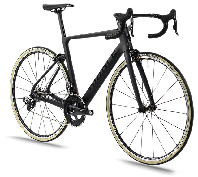 Ribble endurance sl 2025 frameset