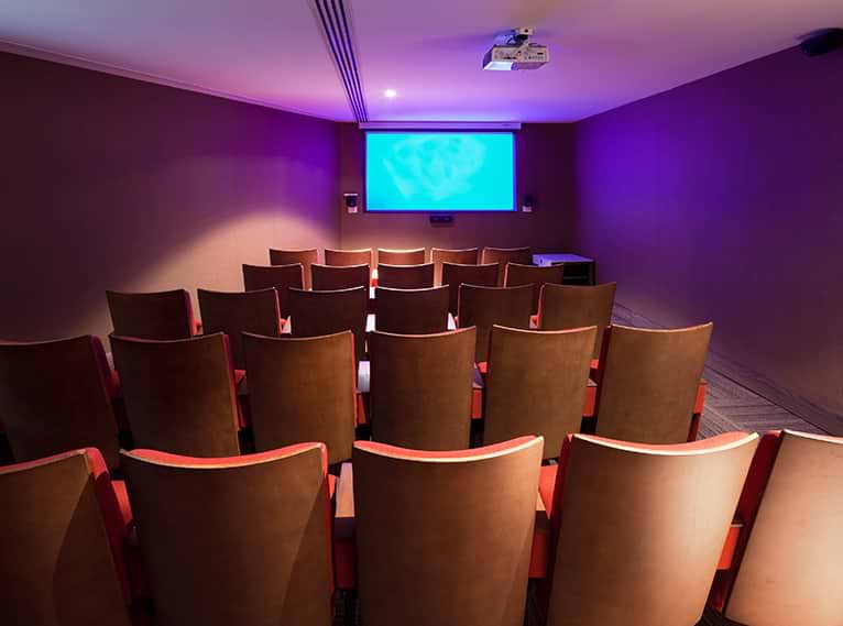 אולם קולנוע1.jpg