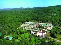 Carmel Forest Spa Resort