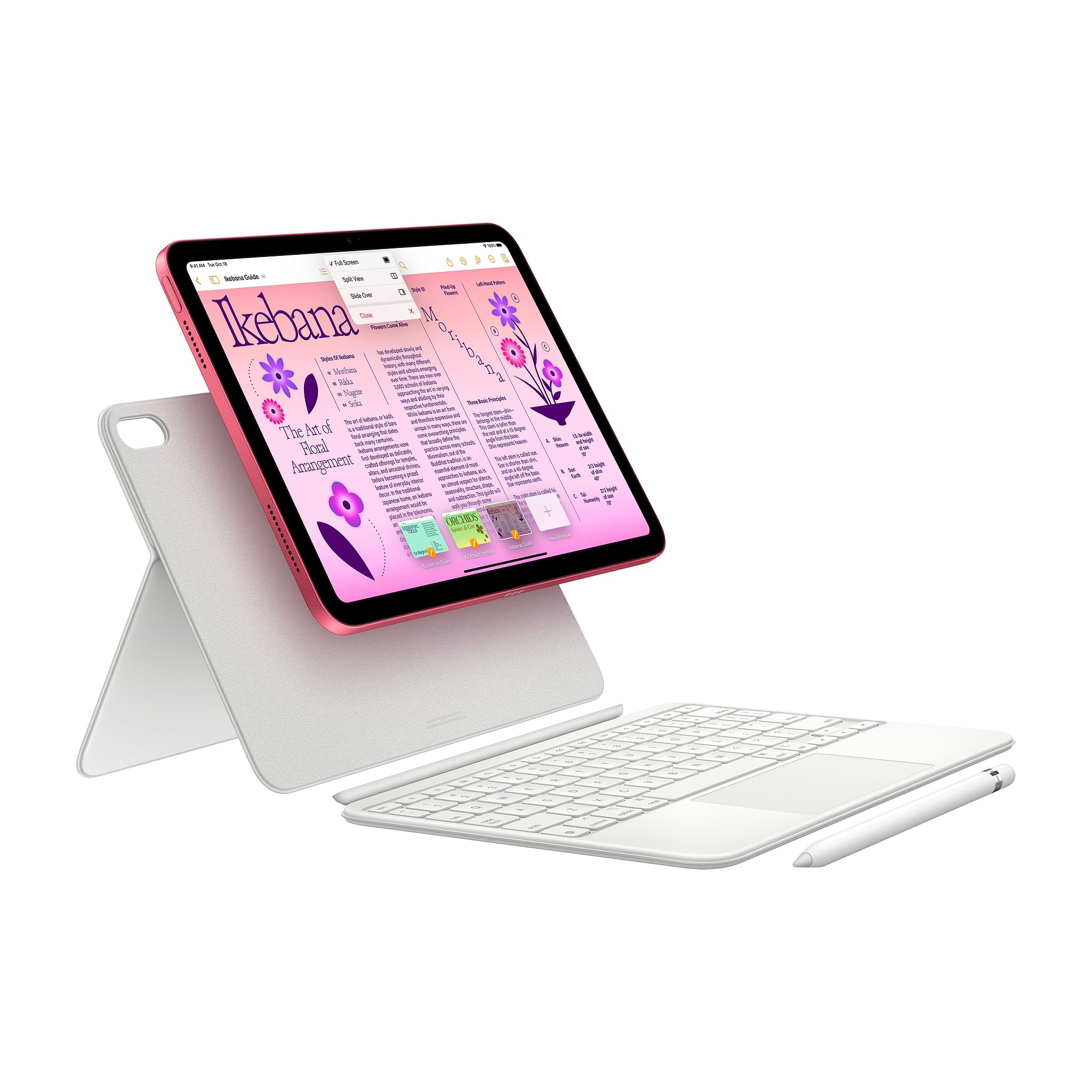 10.9-inch  ipad (10th gen)  Wi-Fi 256GB - Pink אייקון  גרופ
