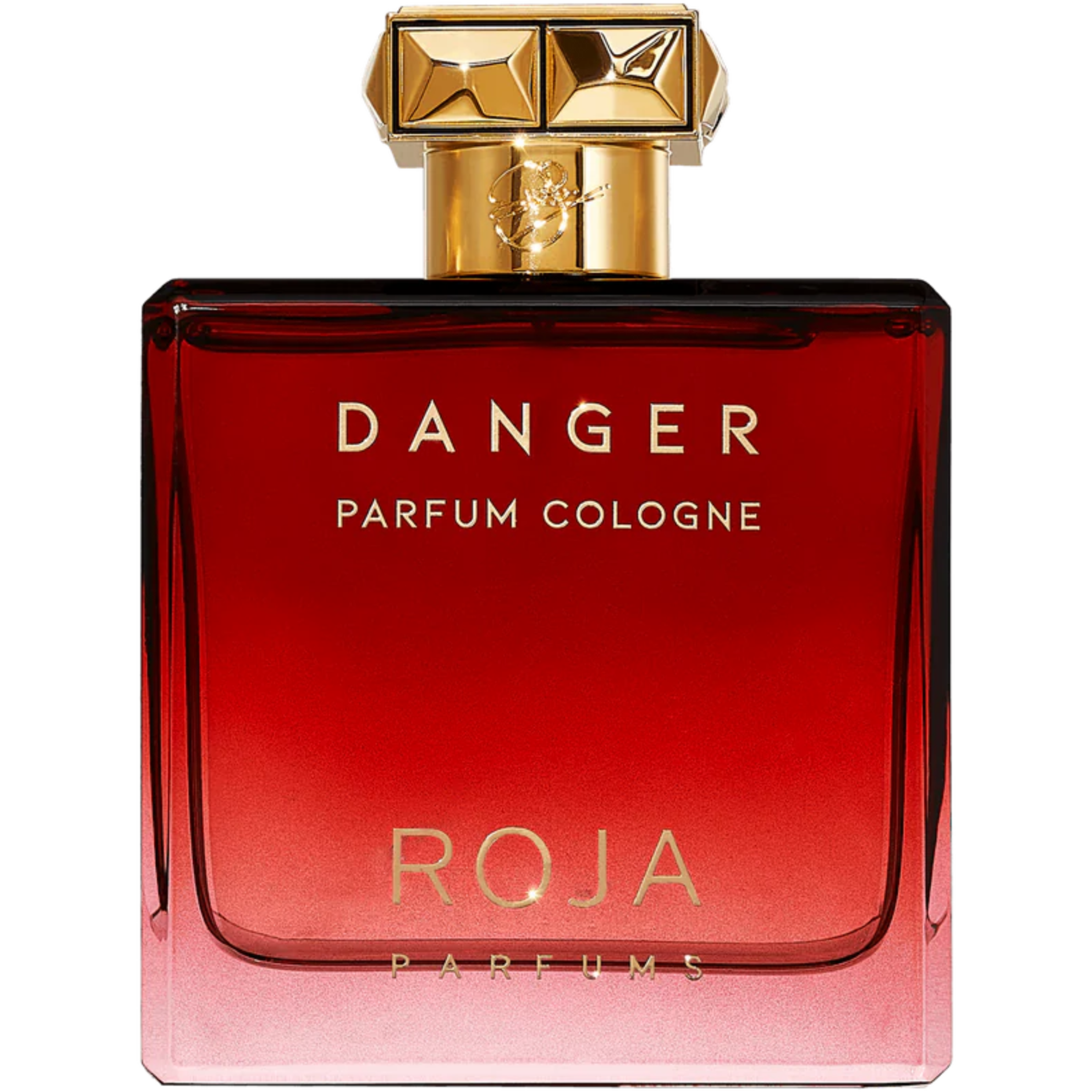 בושם לגבר Roja Danger Pour Homme Parfum Cologne 100ml