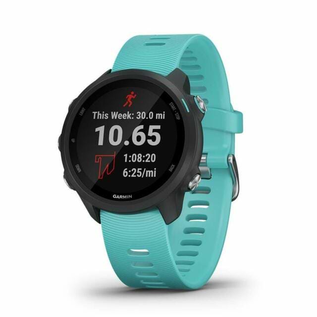 Garmin 245 s