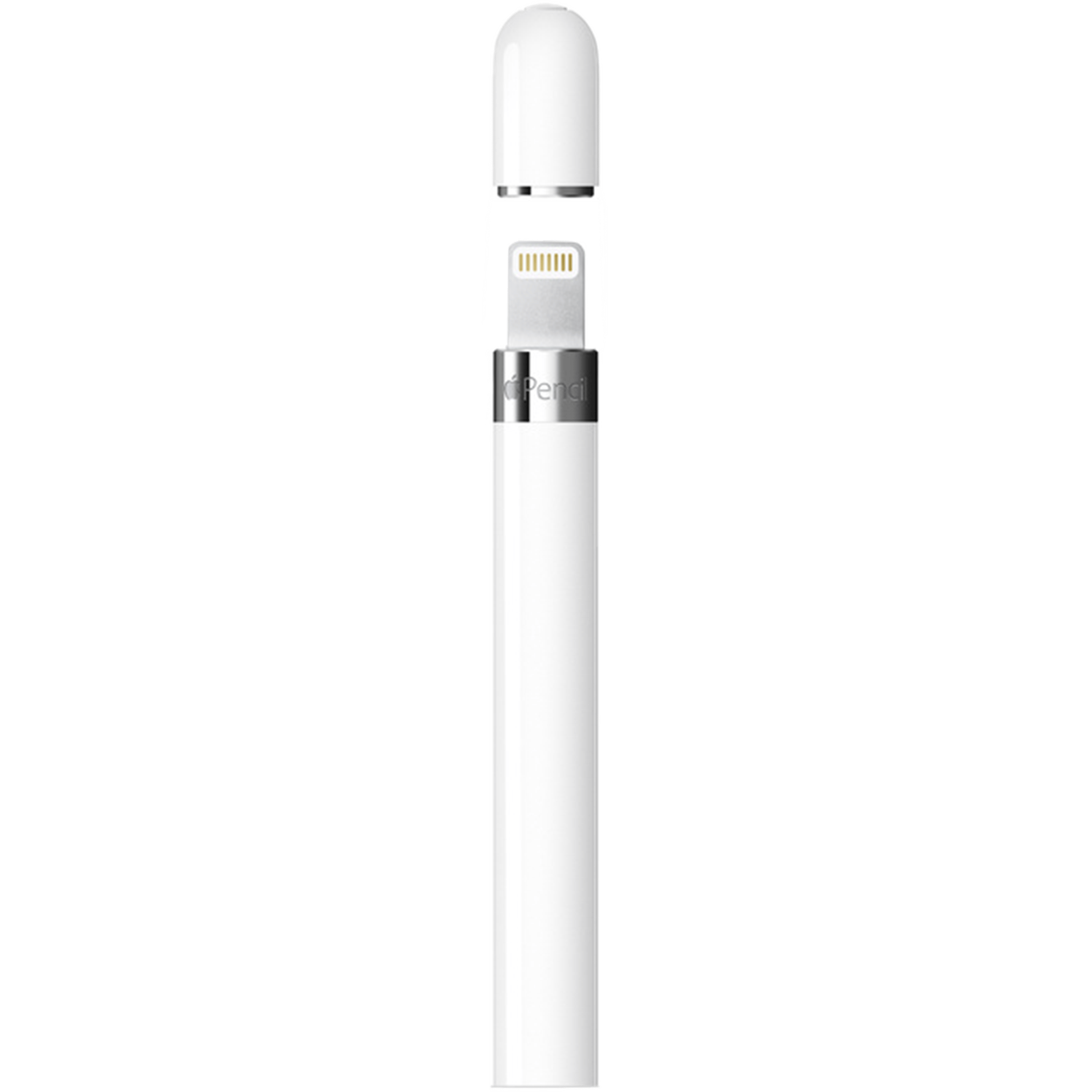 עט דור ראשון דגם Apple Pencil 1st Generation כולל מתאם USB-C - צבע לבן שנה אחריות ע