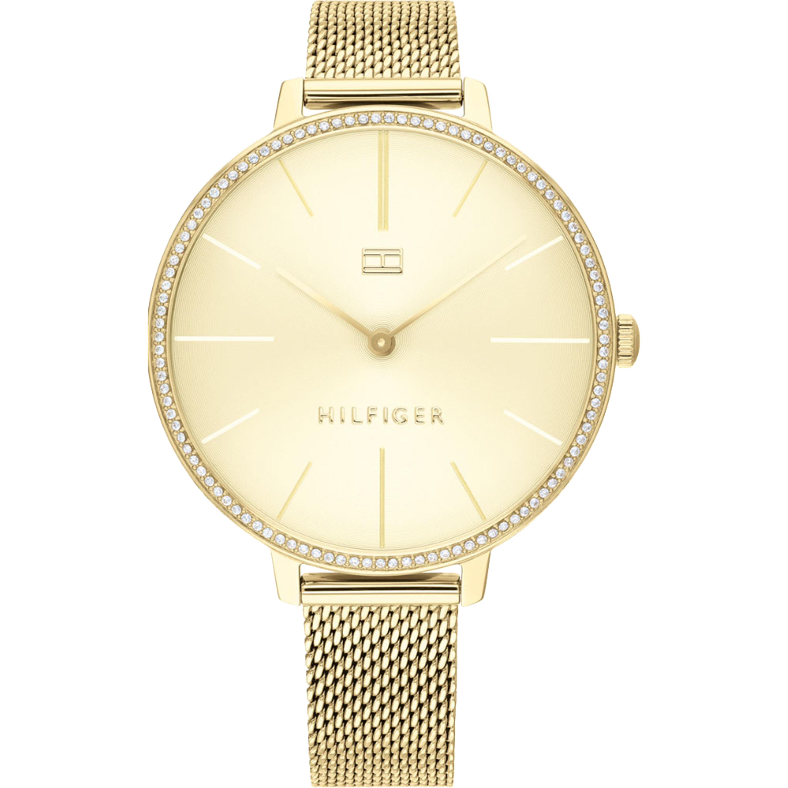 Tommy hilfiger kelly online watch