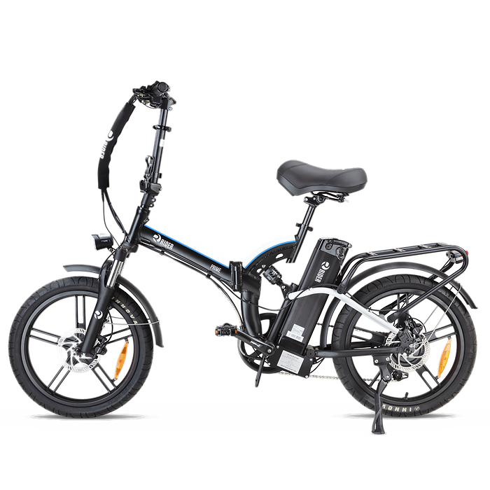 Rider electric bike sales