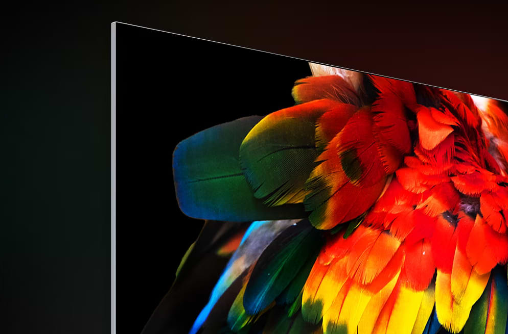 טלוויזיה חכמה 65 אינץ' LG Smart TV LED OLED 4K OLED65CS3VA- שלוש שנים אחריות ע"י היבואן הרשמי 