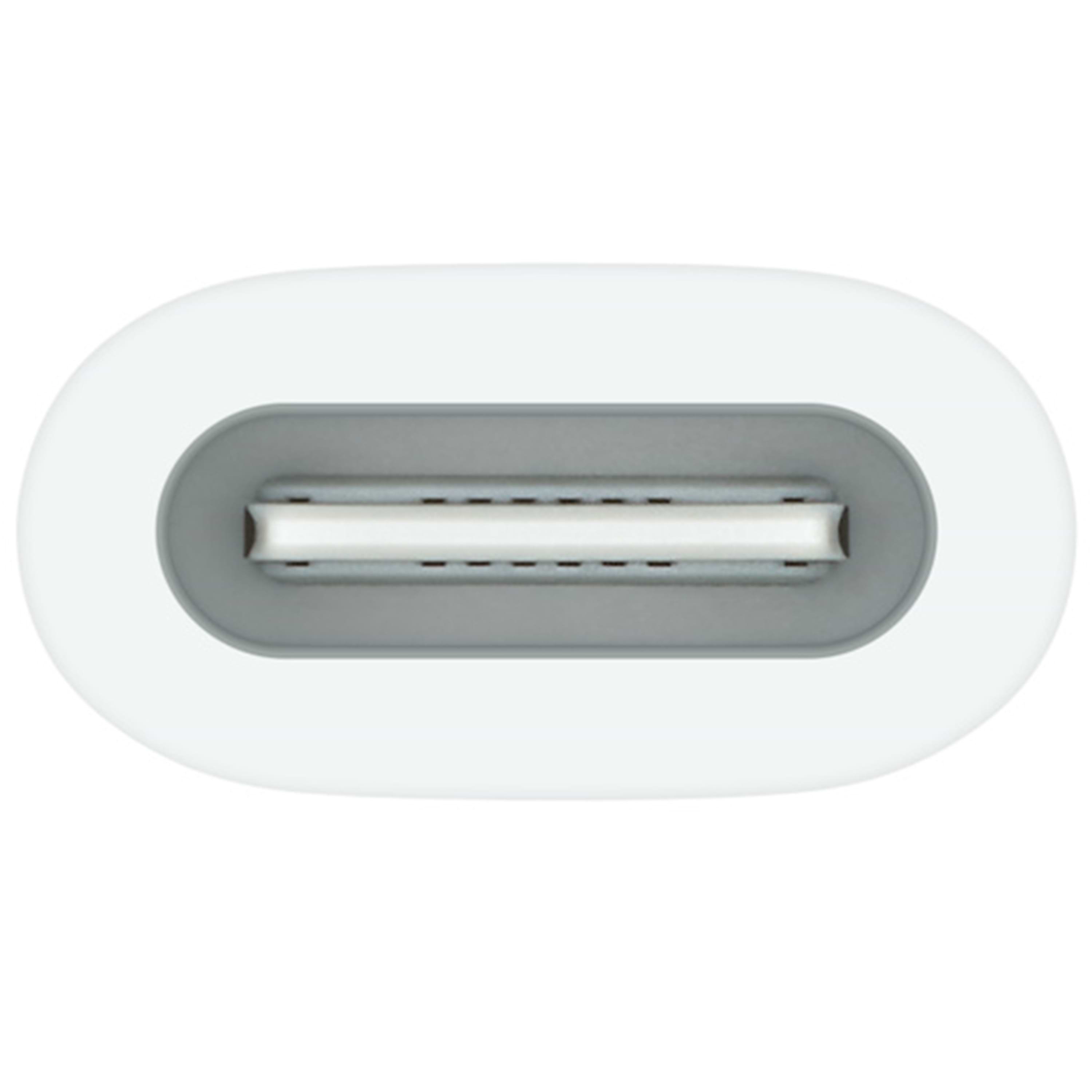 מתאם USB-C ל-Apple Pencil - צבע לבן שנה אחריות ע