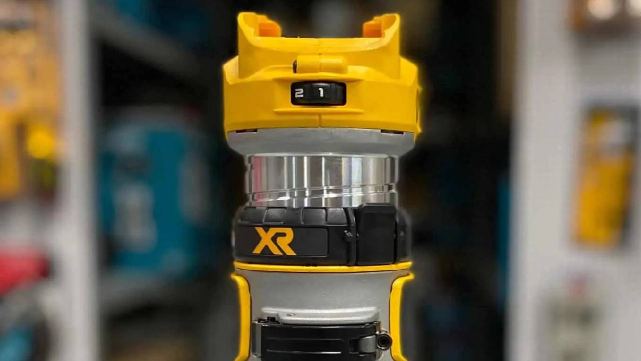 רוטר בראשלס XR 18/20V DeWALT DCW600N/DCW600B  - גוף בלבד
