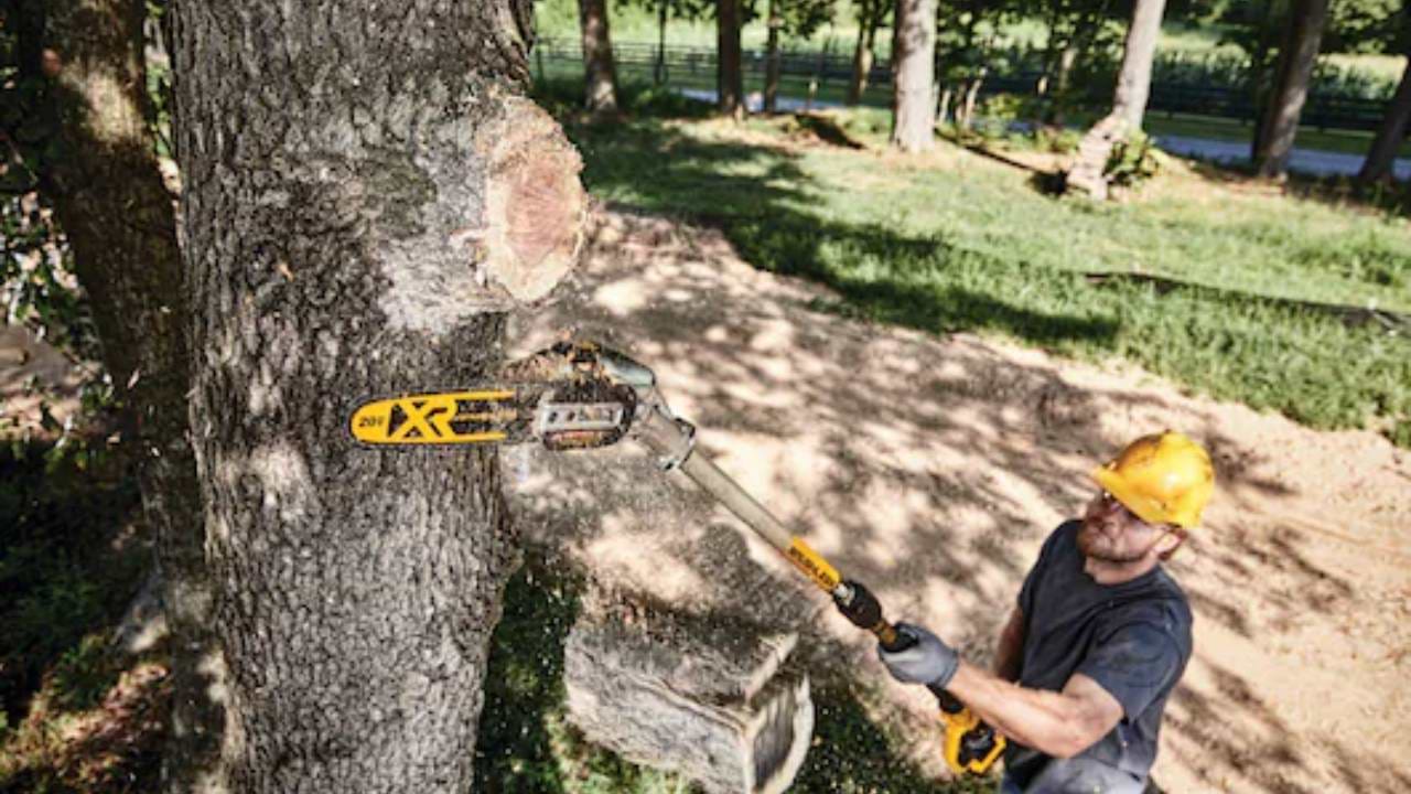 מסור שרשרת טלסקופי לחיתוך ענפים  בראשלס Dewalt DCPS620B / DCMPS567N- גוף בלבד