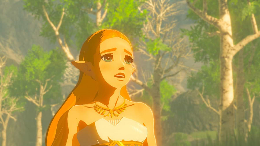 משחק The Legend of Zelda: Breath of the Wild לקונסולת Nintendo Switch