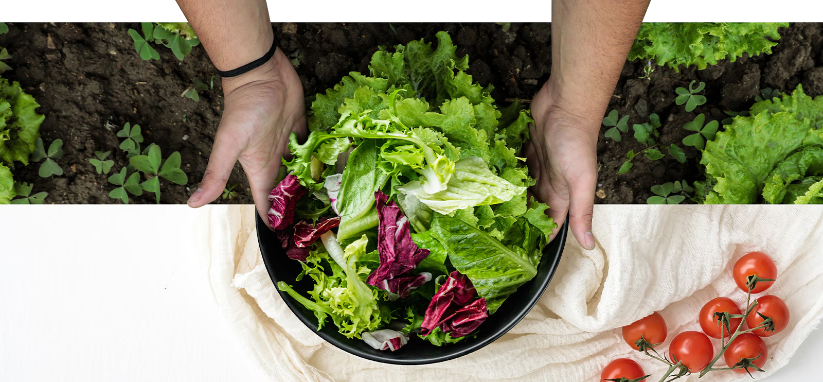 מקרר 4 דלתות מקפיא תחתון 637 ליטר LG GR-730BDIS עם בר מים והתקן שבת מובנה - גימור נירוסטה מושחרת אחריות ע"י היבואן הרשמי