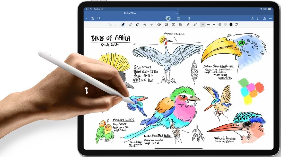 טאבלט Apple iPad 11" 2025 A16