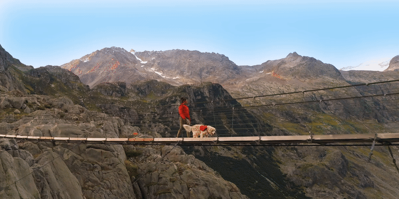 רחפן עם שלט חכם DJI Mini 4 Pro - צבע אפור שנה אחריות ע"י היבואן הרשמי