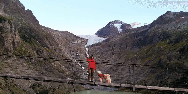 רחפן עם שלט חכם DJI Mini 4 Pro - צבע אפור שנה אחריות ע"י היבואן הרשמי