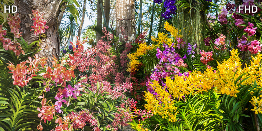 �������� ���� Samsung 43