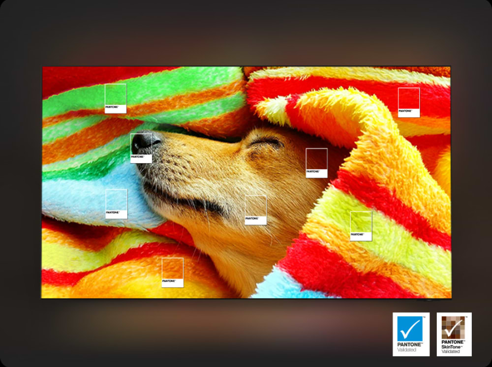 טלוויזיה חכמה Samsung 65