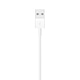 כבל טעינה וסנכרון Apple Lightning to USB Cable באורך 2 מטר - צבע לבן שנה אחריות ע"י היבואן הרשמי