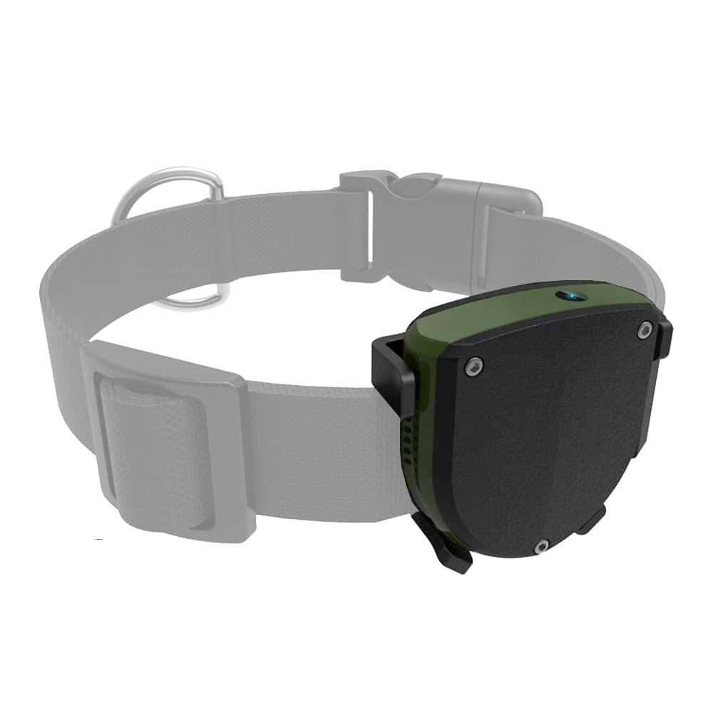 מכשיר איתור בזמן אמת עם GPS לחיית המחמד kidiwatch - שנה אחריות ע