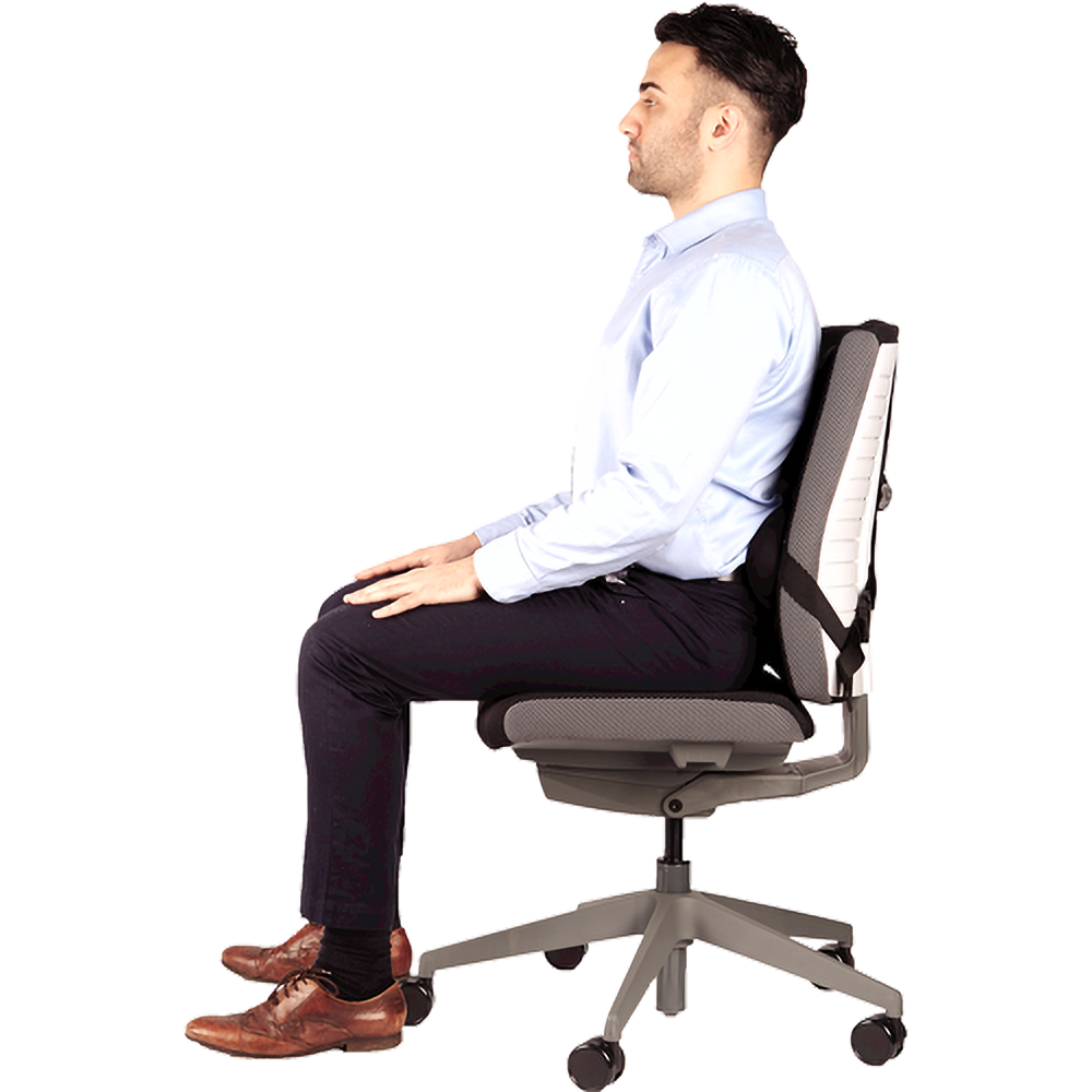 משענת גב ארגונומית לכיסא Fellowes Professional Series Ultimate - צבע שחור