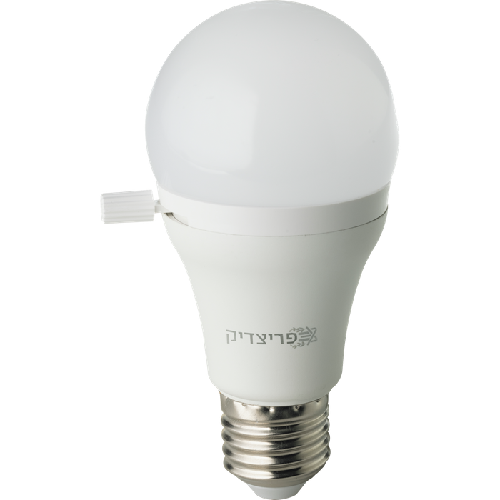 Shabbat Lightbulb