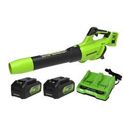 שואב עלים/מפוח (2X24V) 48V BL עם 2X4.0Ah +מטען (4A) Dual Port Greenworks