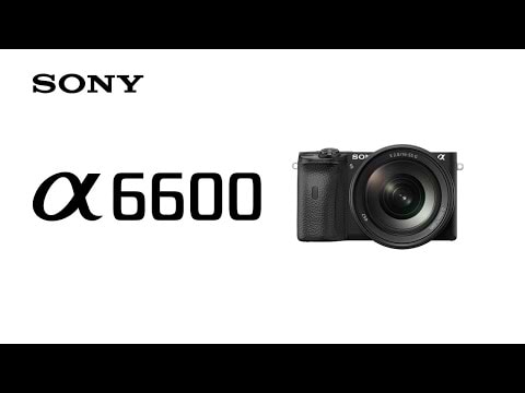 מצלמה דיגיטלית ללא מראה הכוללת עדשה Sony Alpha 6600 E 18-135mm f/3.5-5.6 OSS - צבע שחור שלוש שנות אחריות ע