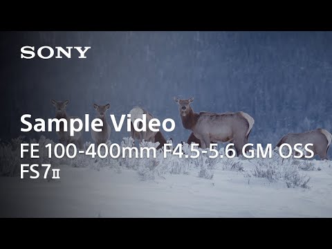 עדשת Sony FE 100-400mm f/4.5-5.6 GM OSS - צבע לבן שלוש שנות אחריות ע