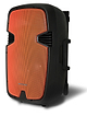 PURE ACOUSTICS רמקול נייד מוגבר 12''2 מיקרופונים אלחוטים PMW-2012