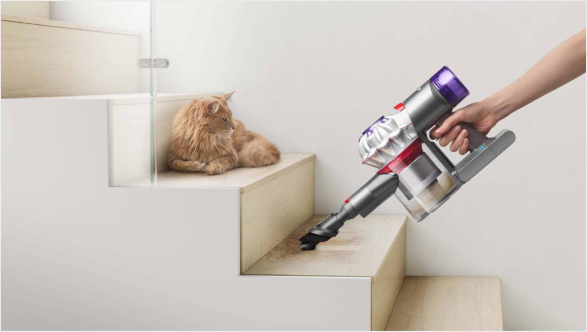שואב אבק Dyson V8 Absolute New - שנתיים אחריות ע"י היבואן הרשמי