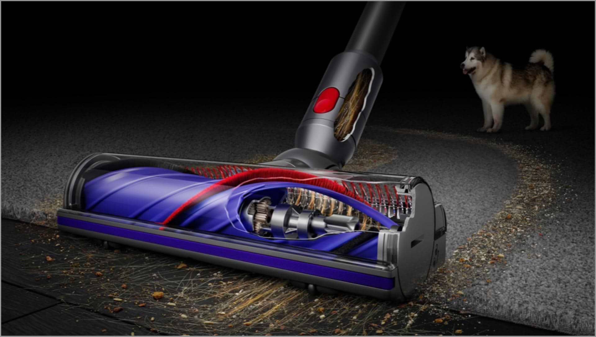שואב אבק Dyson V8 Absolute New - שנתיים אחריות ע"י היבואן הרשמי