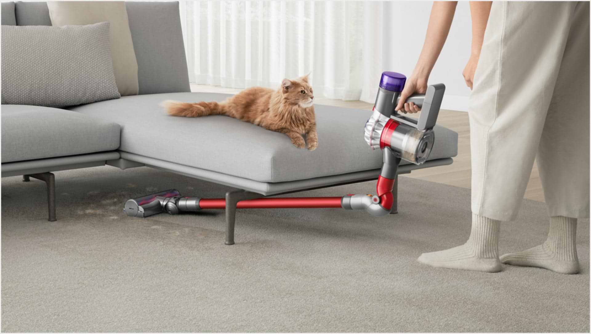 שואב אבק Dyson V8 Absolute New - שנתיים אחריות ע"י היבואן הרשמי