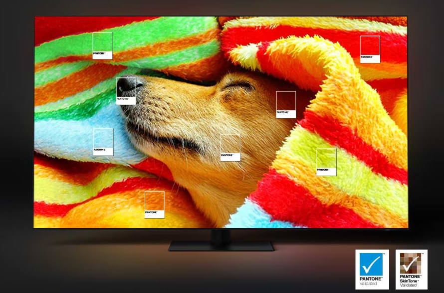 טלוויזיה חכמה Samsung QE43QN90D 43" Neo QLED  4K Smart TV - שנה אחריות ע"י היבואן הרשמי 