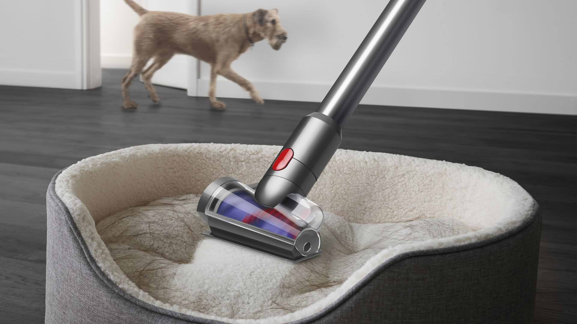 שואב אבק Dyson V12 Slim Detect Absolute - שנתיים אחריות ע"י היבואן הרשמי  Mark Shop